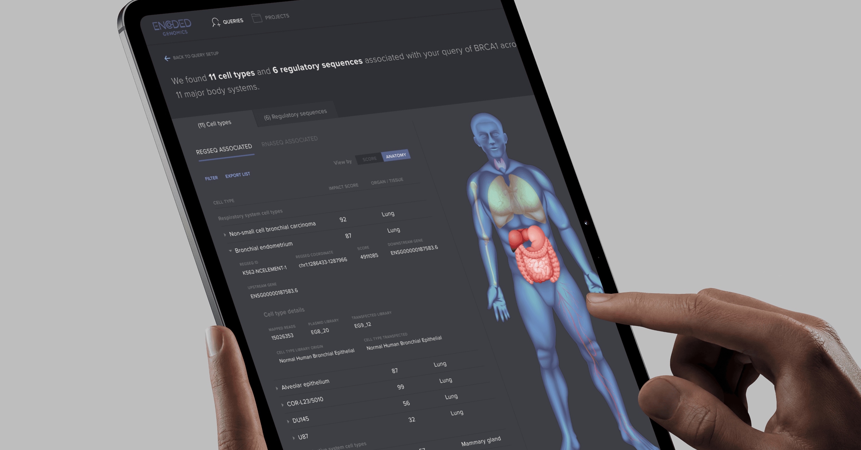 Encoded Genomics — An atlas for gene therapy research, visualizing datasets that link regulatory sequences to cell types and body systems.